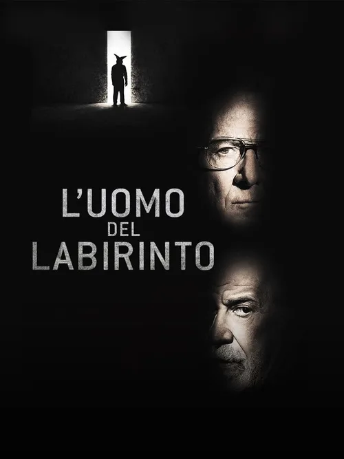 Locandina di L'uomo del labirinto