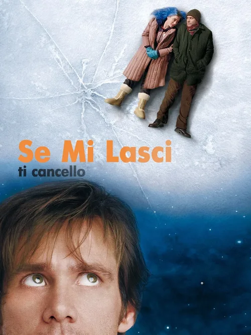 Locandina di Se mi lasci ti cancello