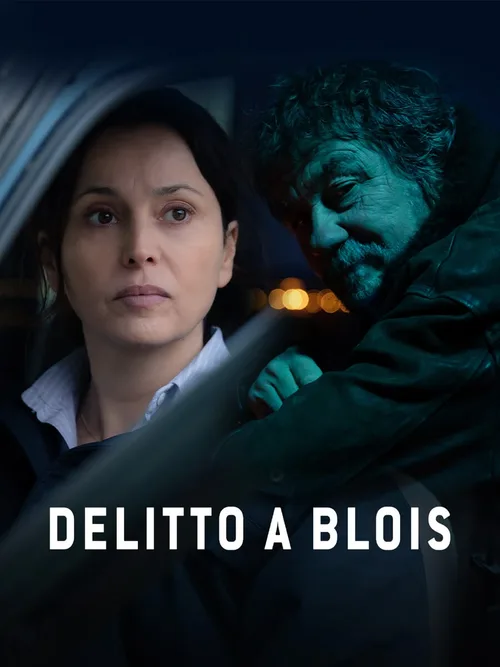 Locandina di Delitto a Blois