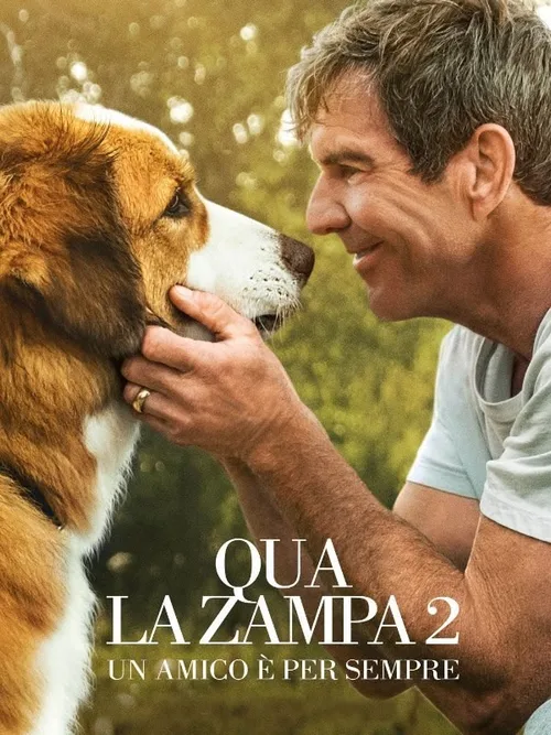 Locandina di Qua la zampa 2 - Un amico è per sempre